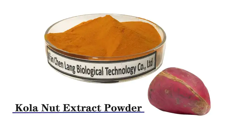 Kola Nut Extract Powder.jpg